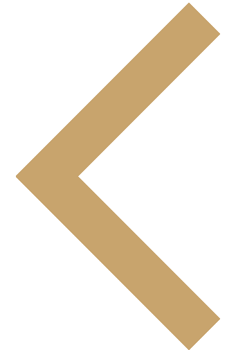 whatsapp-logo